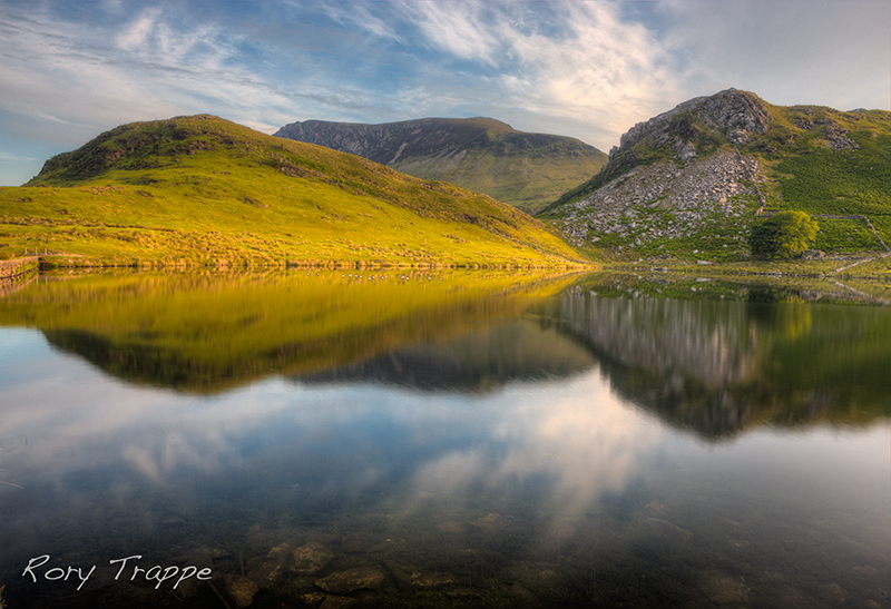 Dywarchen reflection