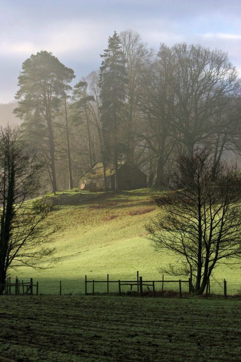 Barn at Ganllwyd Vertical