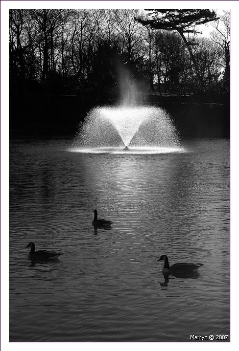 DSC_1257.jpg bw.jpg hesketh park.jpg