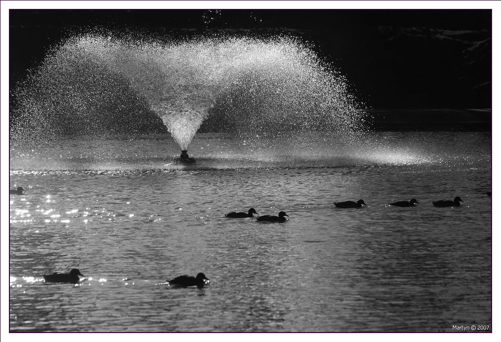DSC_0017.jpg  Hesketh Park.jpg  8.jpg