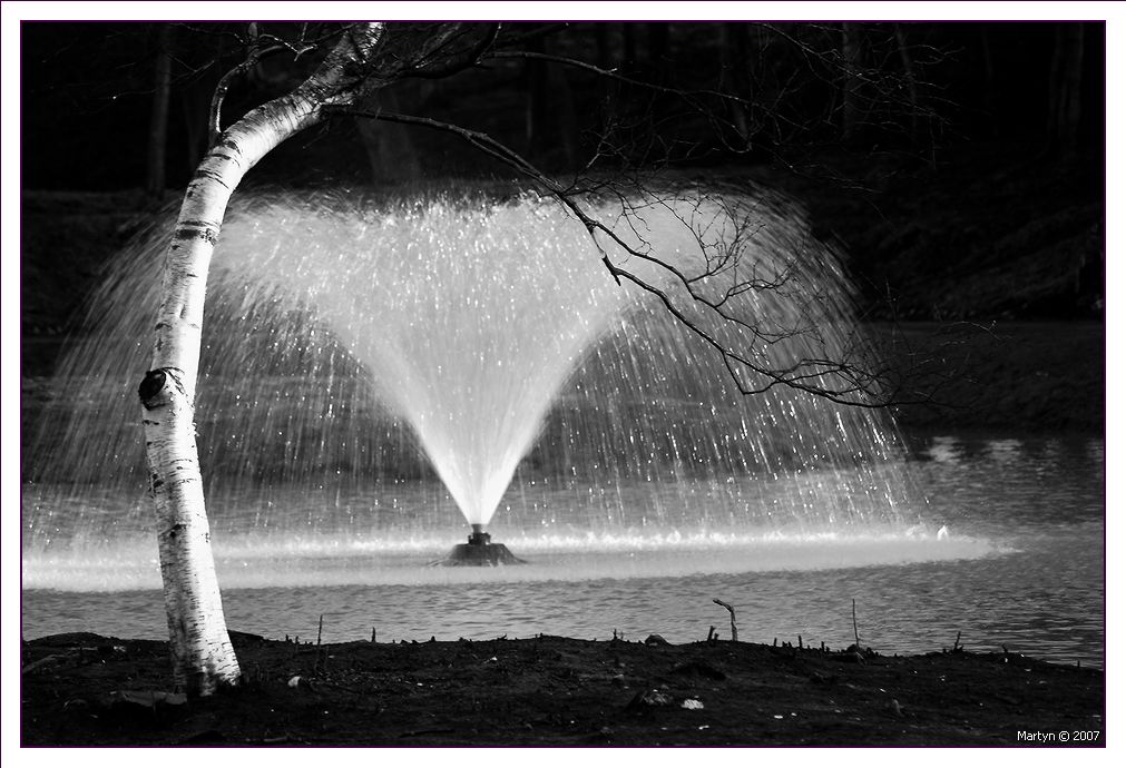 DSC_0040.jpg hesketh park 6.jpg 6.jpg