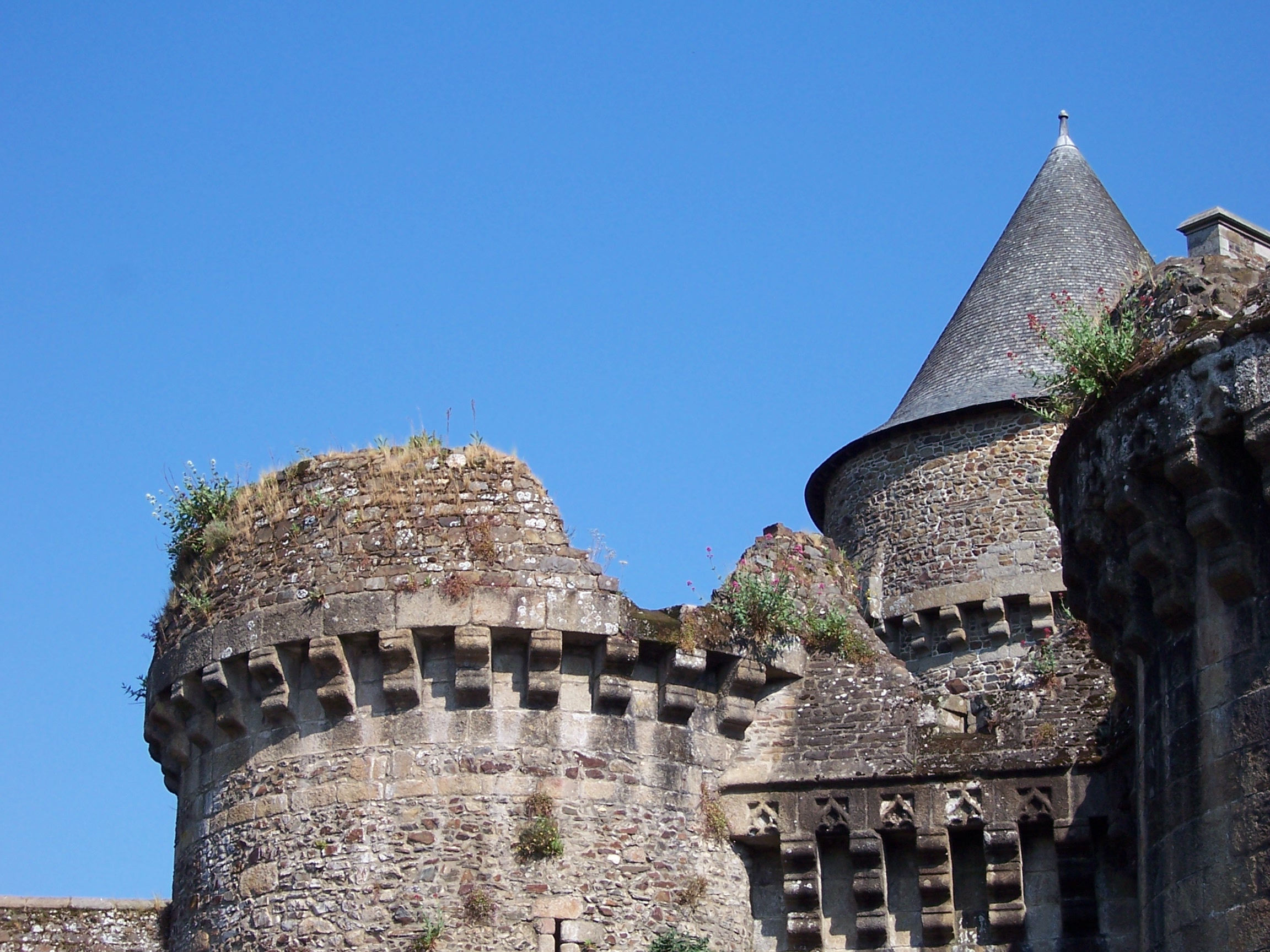 Chteau de Fougres