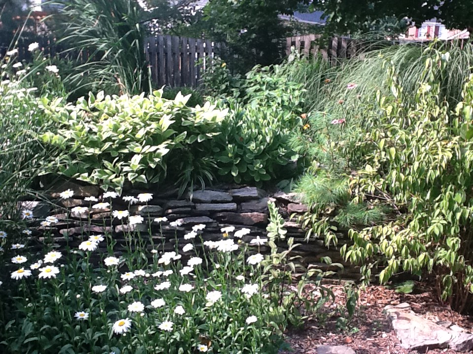 Middle Koi Pond Side Wall