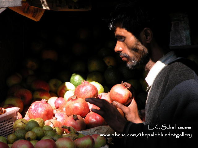 Fruit Merchant, Mussori, India