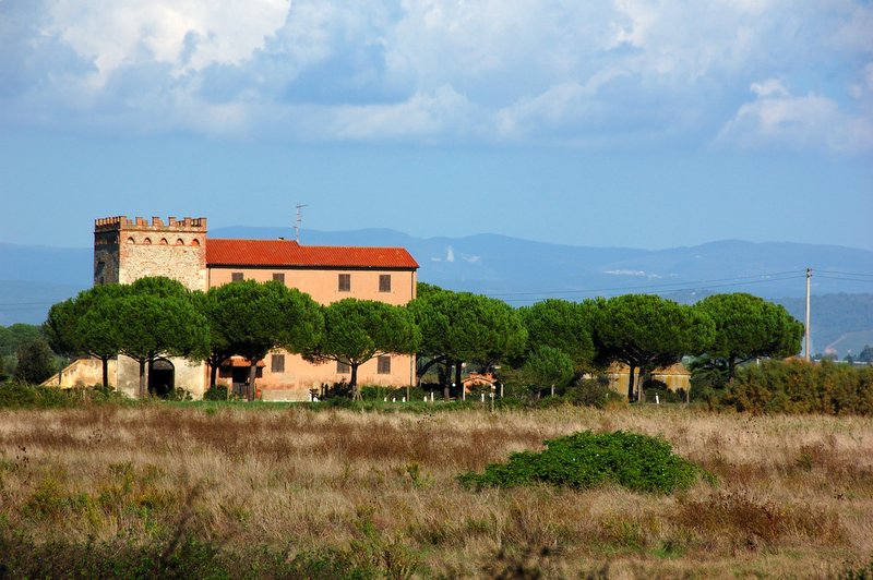 Piombino