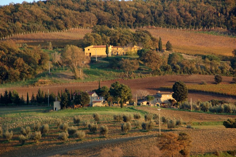 Colline Toscane