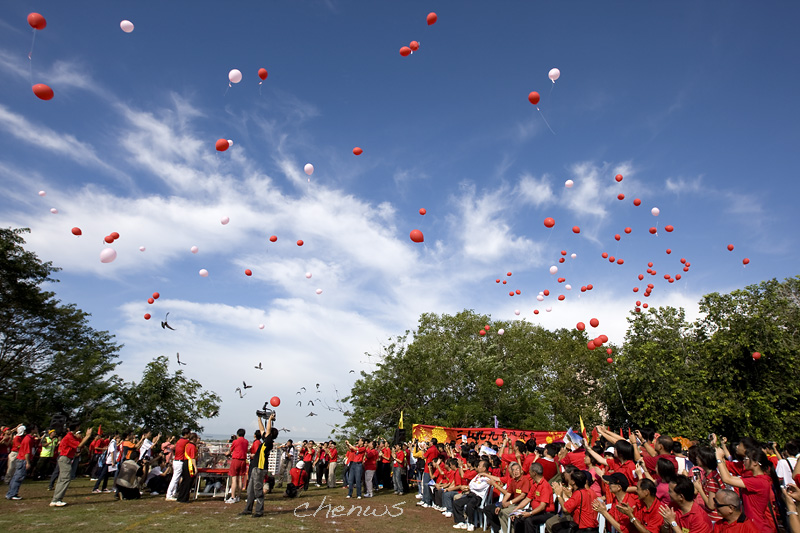 Freeing the doves and balloons (8245)