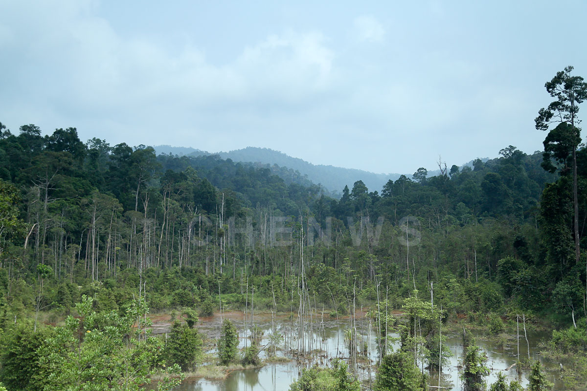 KL-Kuantan Highway scenery