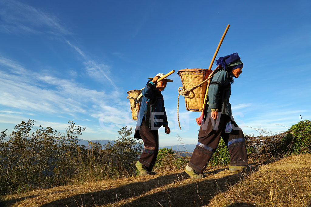 Farmers returning