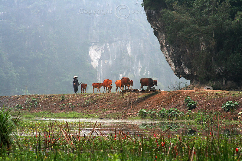 Tam Coc (Mar 07)