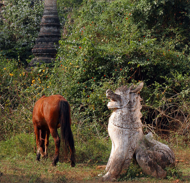 The Chinthe (Dec 06)