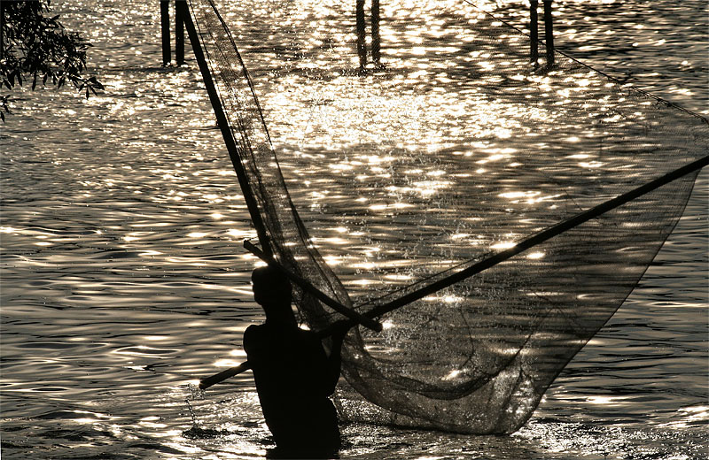 Fisherman Casting Net (12 May 07)