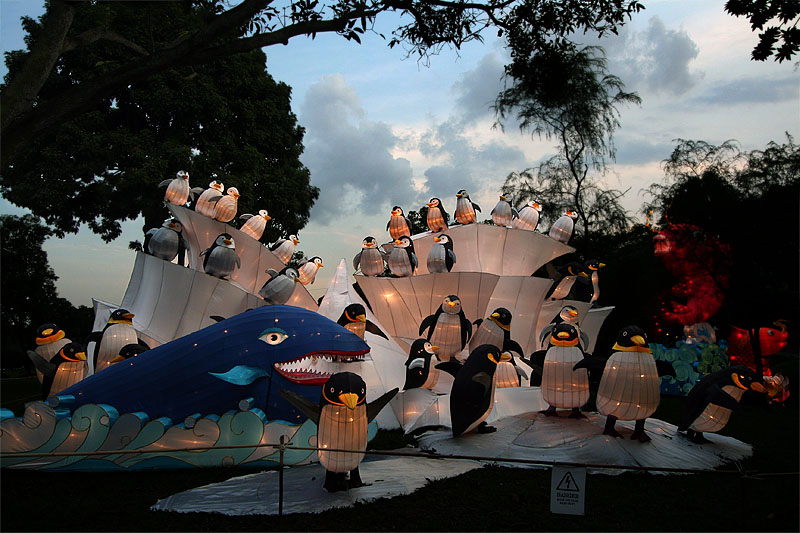 Penguins & Whale (Sep 07)