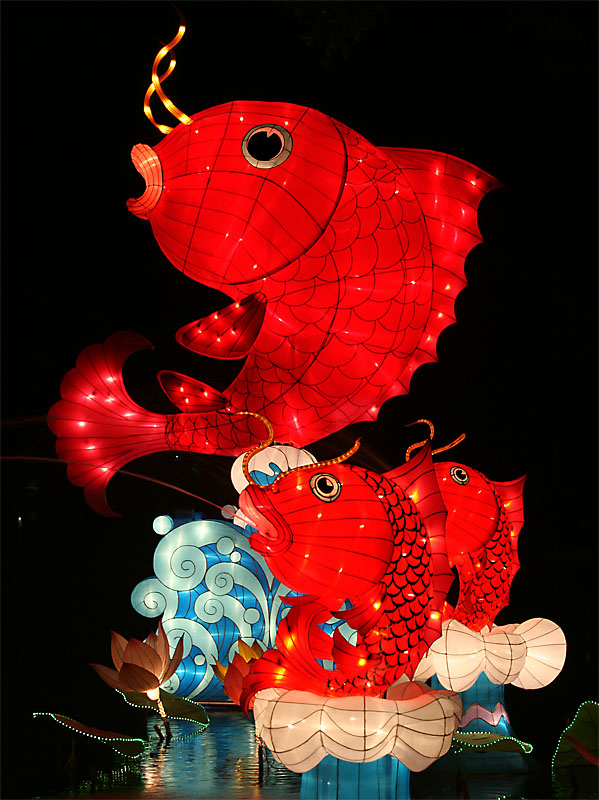 Fishes (Sep 07)