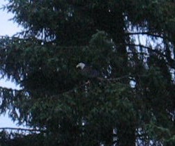 IMG_3247_5.jpg