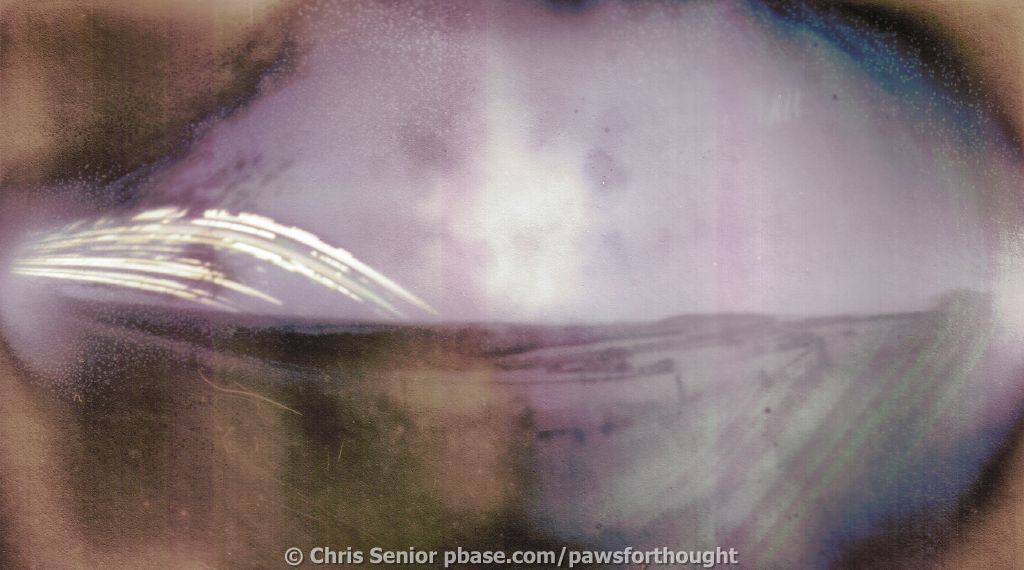 solargraph 2010-12-17 60 days #2 v2.jpg