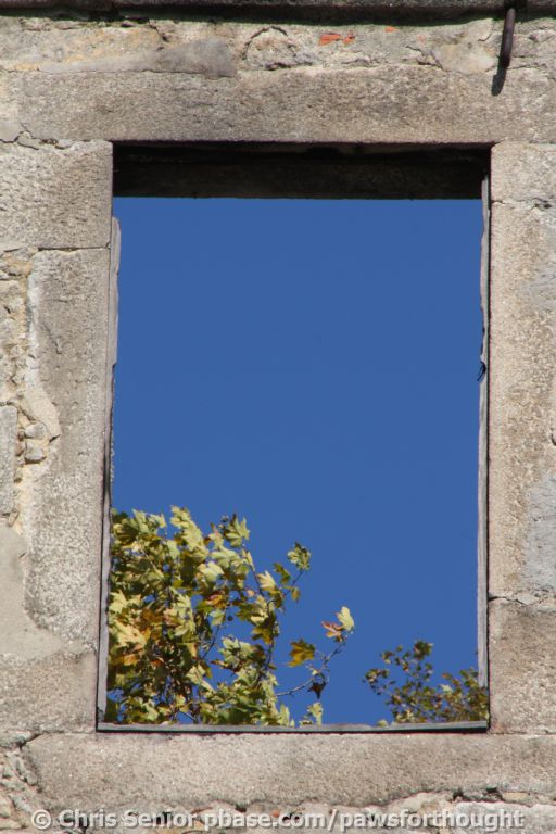 CS_0826.JPG