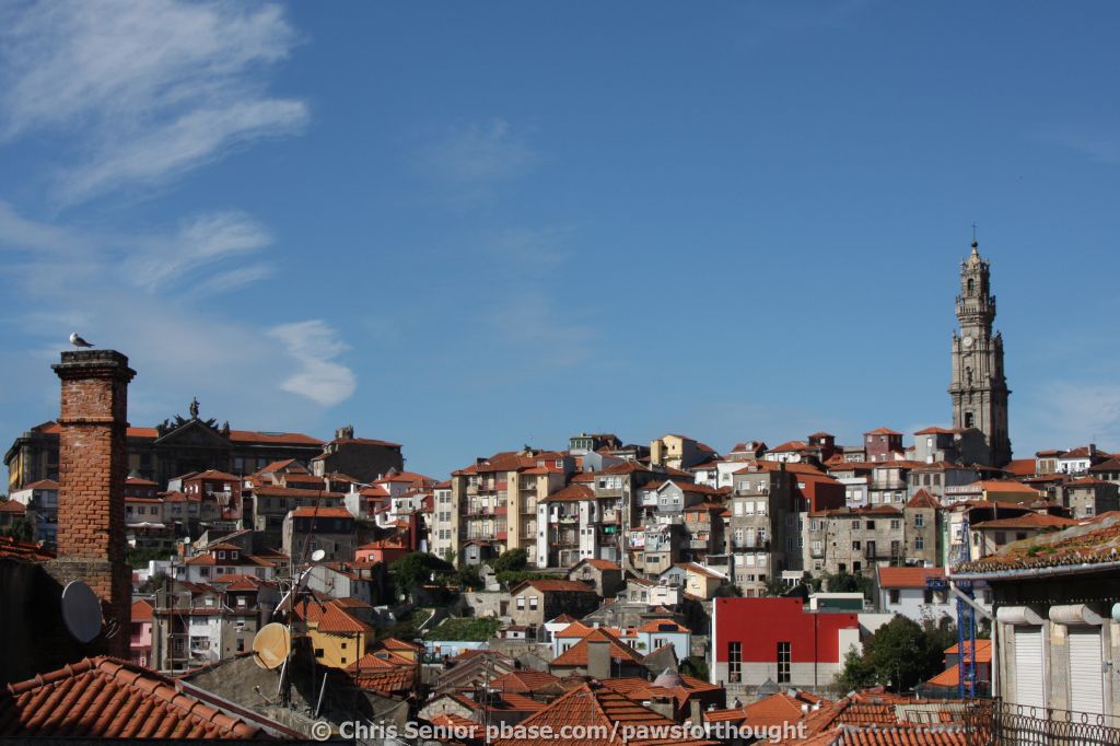 CS_0912.JPG