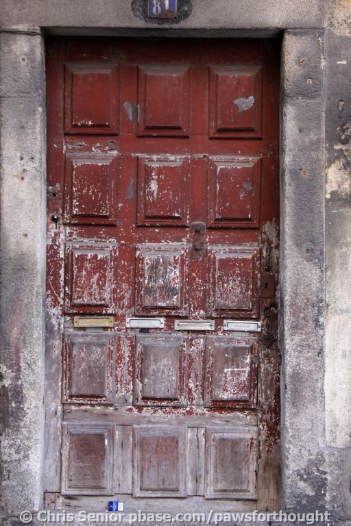 CS_0913.JPG