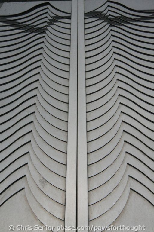 CS_0250.JPG
