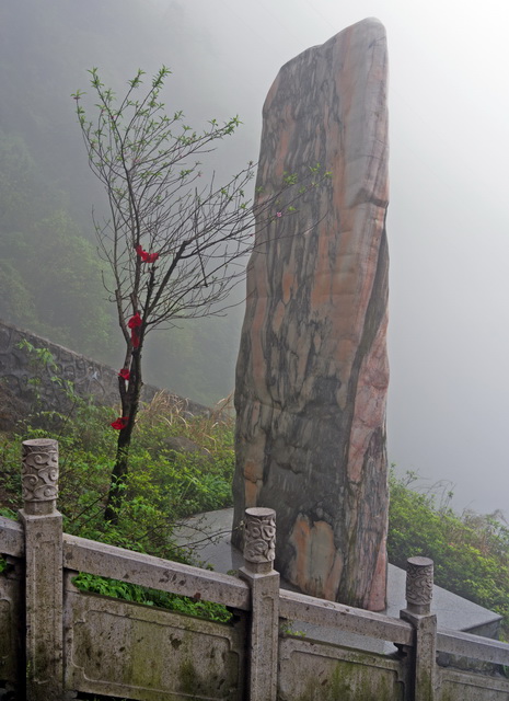 L1003235.JPG