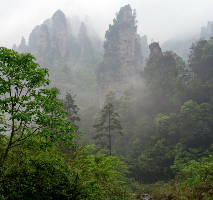 L1003828.JPG