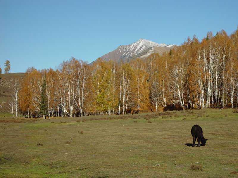 DSC00596.JPG