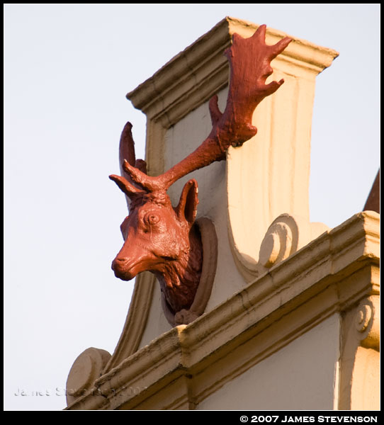 town004.jpg