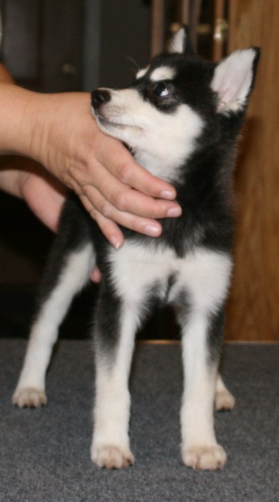 Cierra 82408 013.JPG