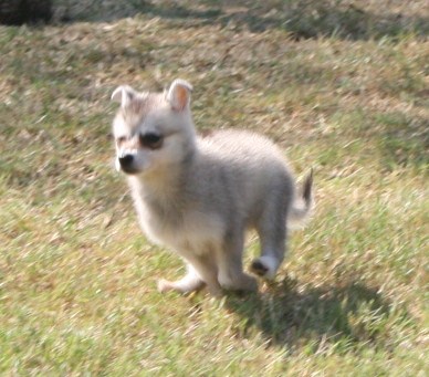 92808 156.JPG