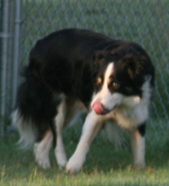 August 3 2007 193.JPG