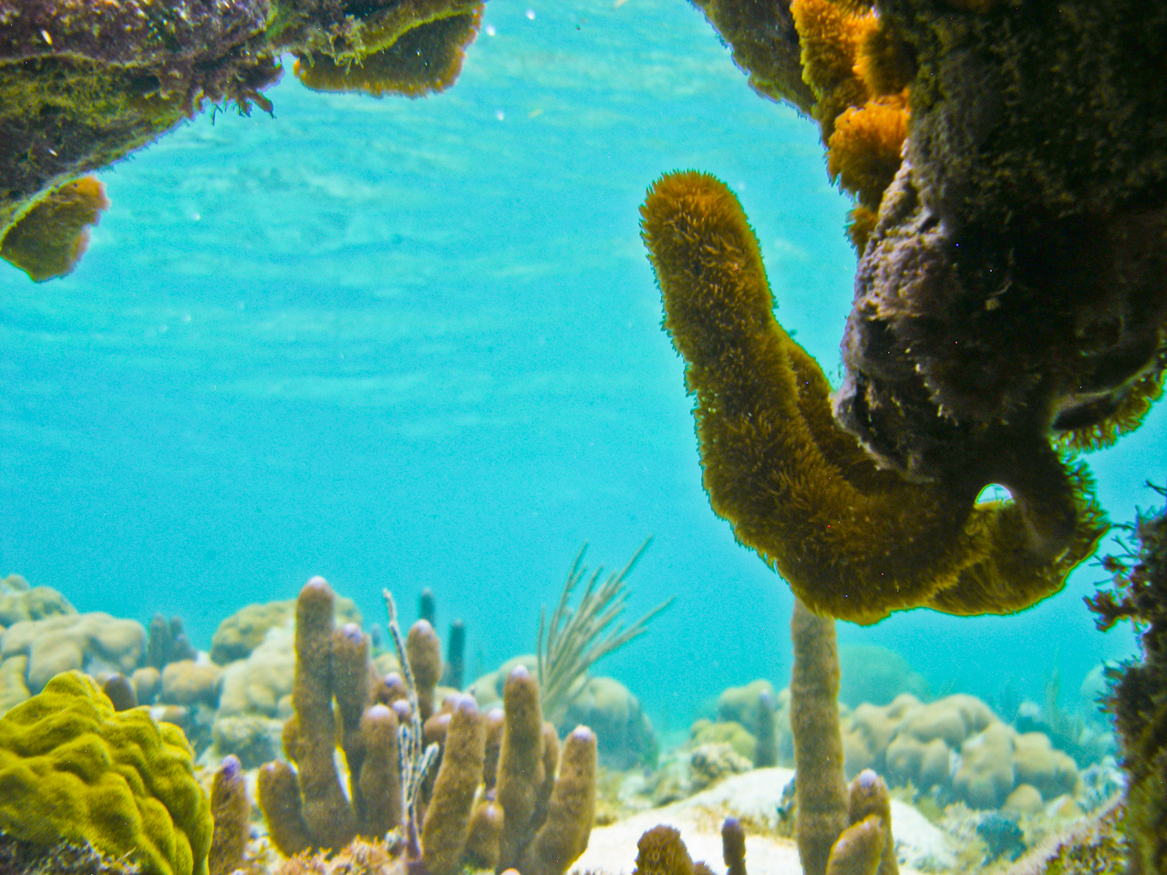 cayman_2012-169.jpg