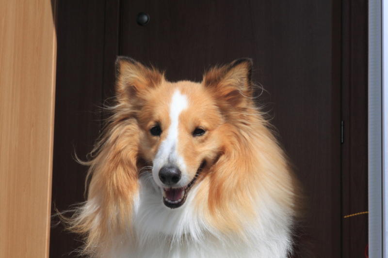 EOS 5D Mark II 00635.JPG