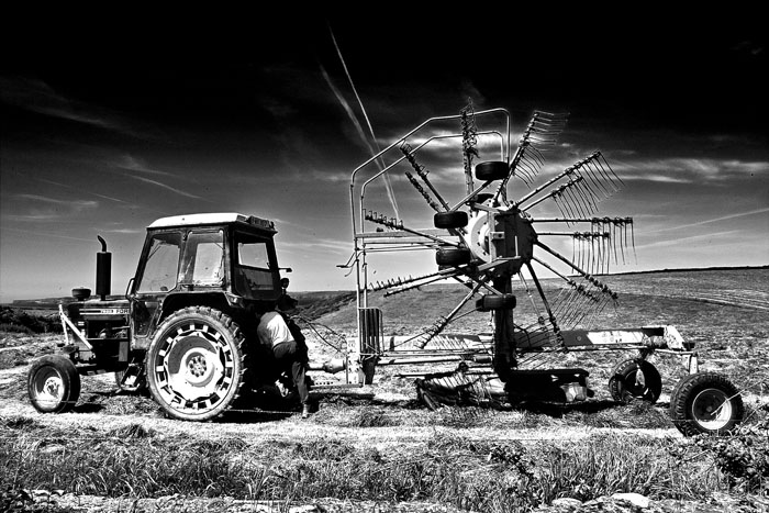 saving the hay 