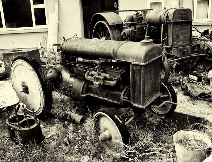 intereting front garden .jpg