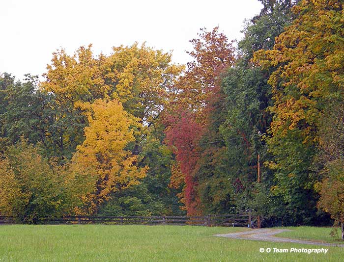 Fall Fence