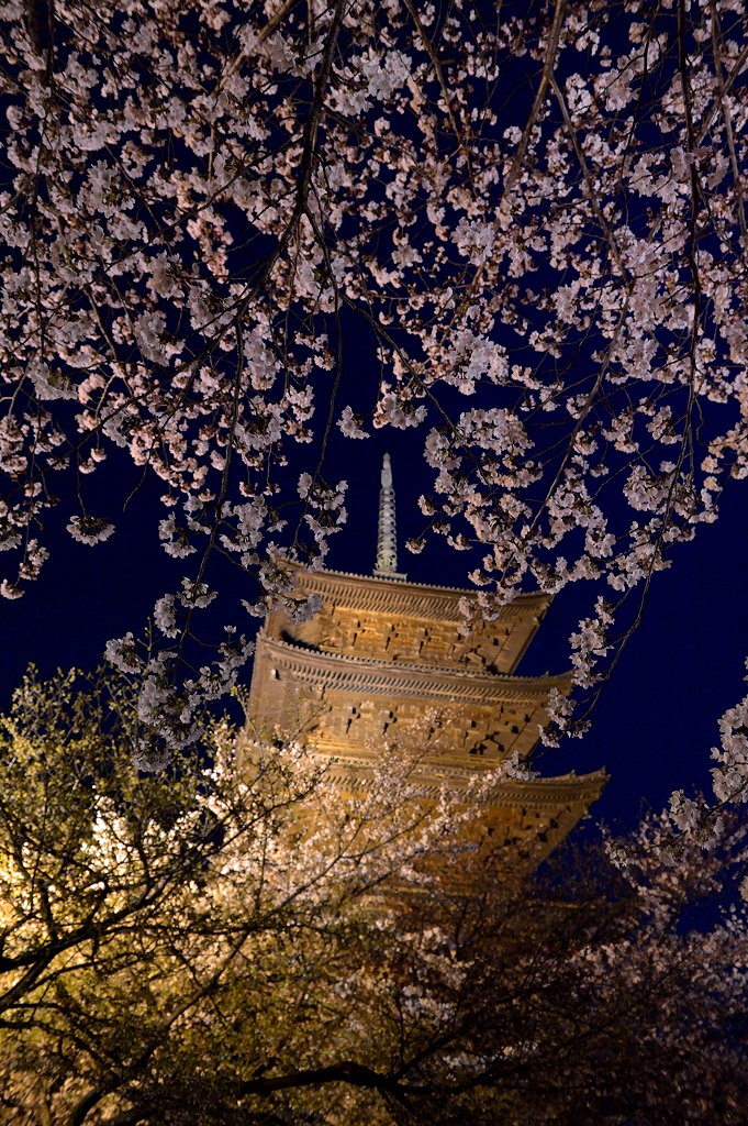 Toji Temple at Kyoto