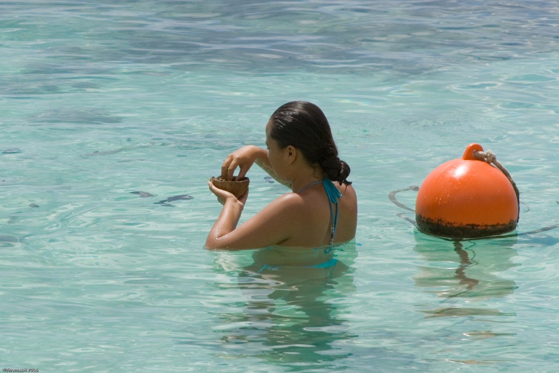 0786 Vahine playing with fish