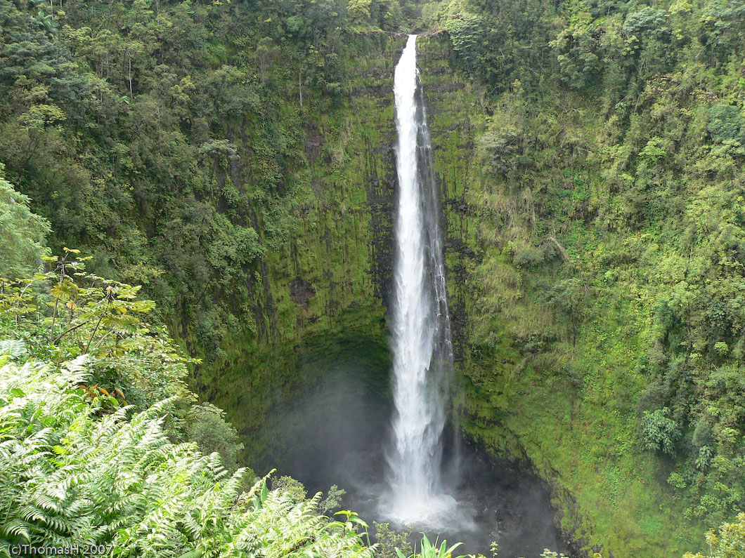 P387 Akaka Falls, 420