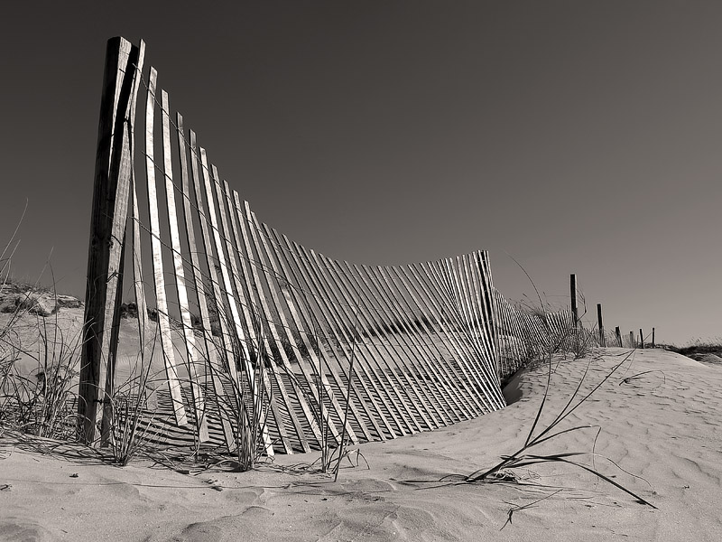 Fence and Posts