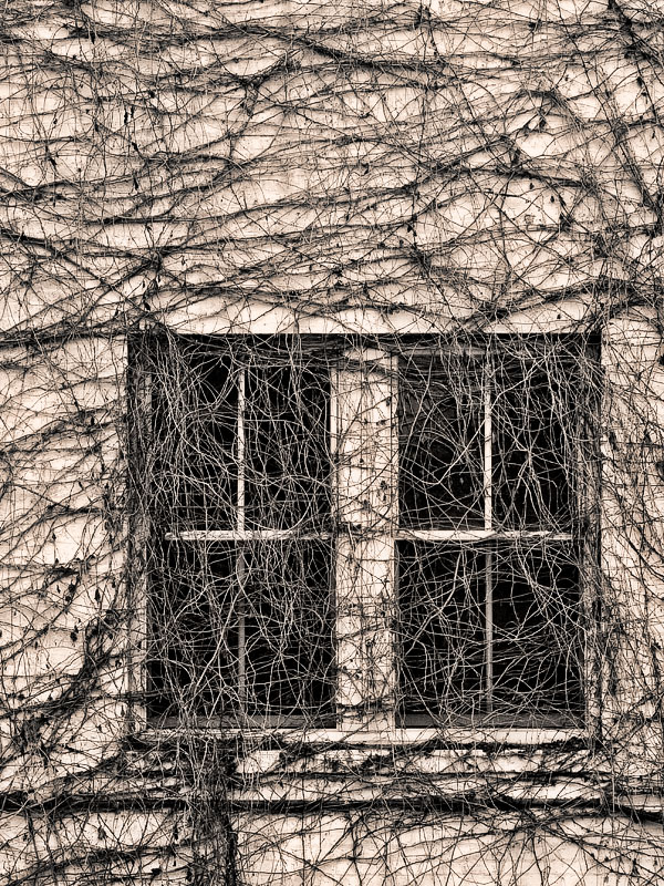 Overgrown