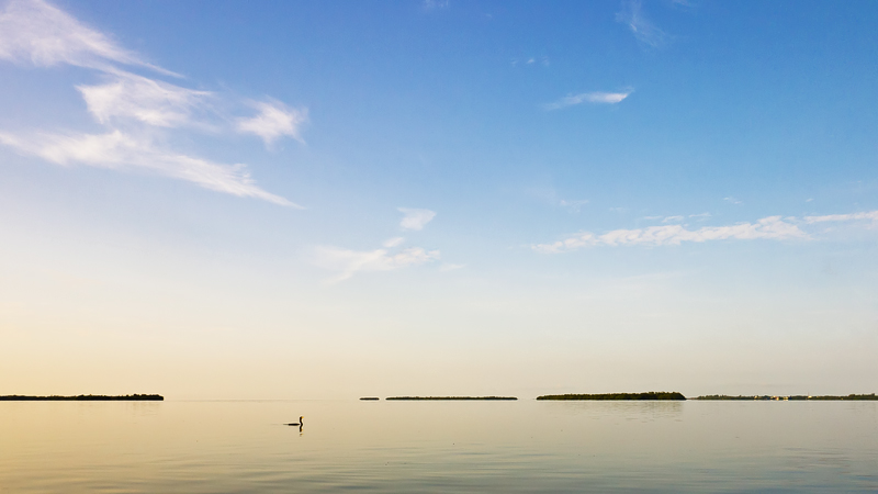 Gasparilla Sound
