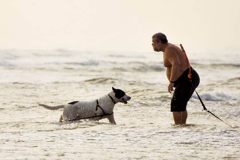 2013 Polar Bear Plunge #12