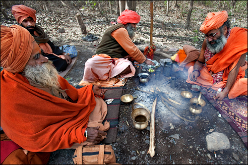 Tea-Party