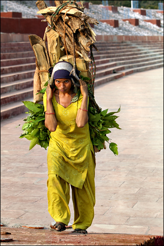 The girl with the firewood