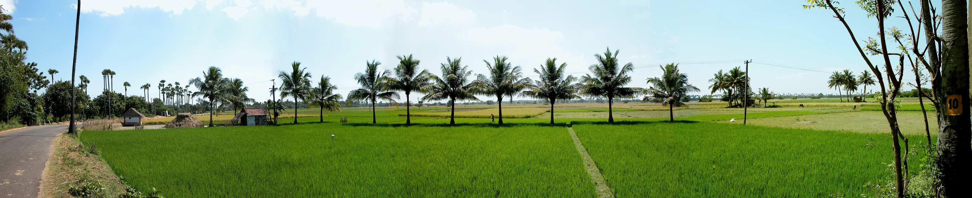 Road to Thirukalikundram