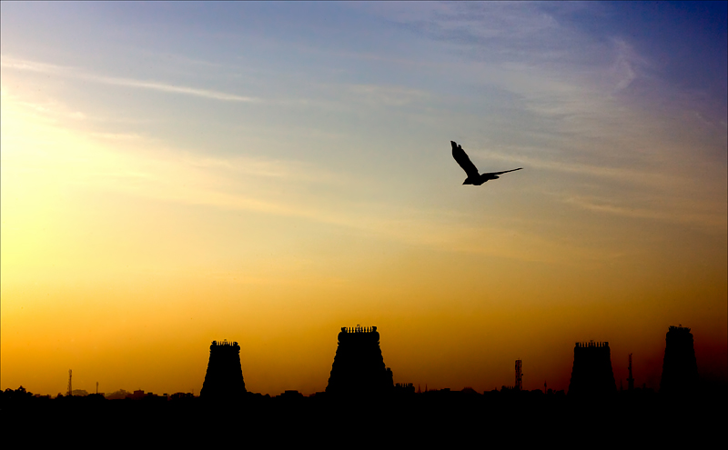 Fly to the sun