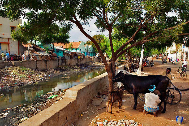 Open Sewers in the Slums of the City