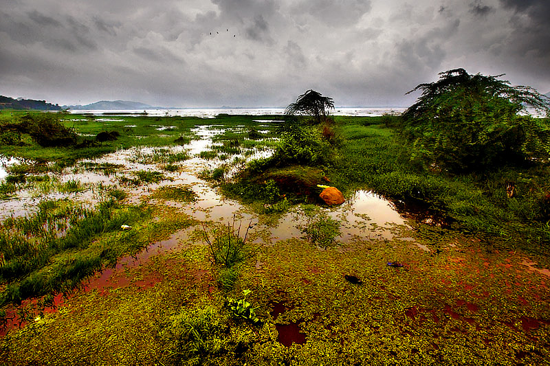 Chengalpattu Lake