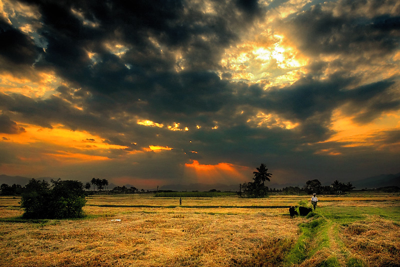 Kanniyampatti at dusk
